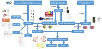 Construction of a potentially functional lncRNA-miRNA-mRNA network in sepsis by bioinformatics analysis